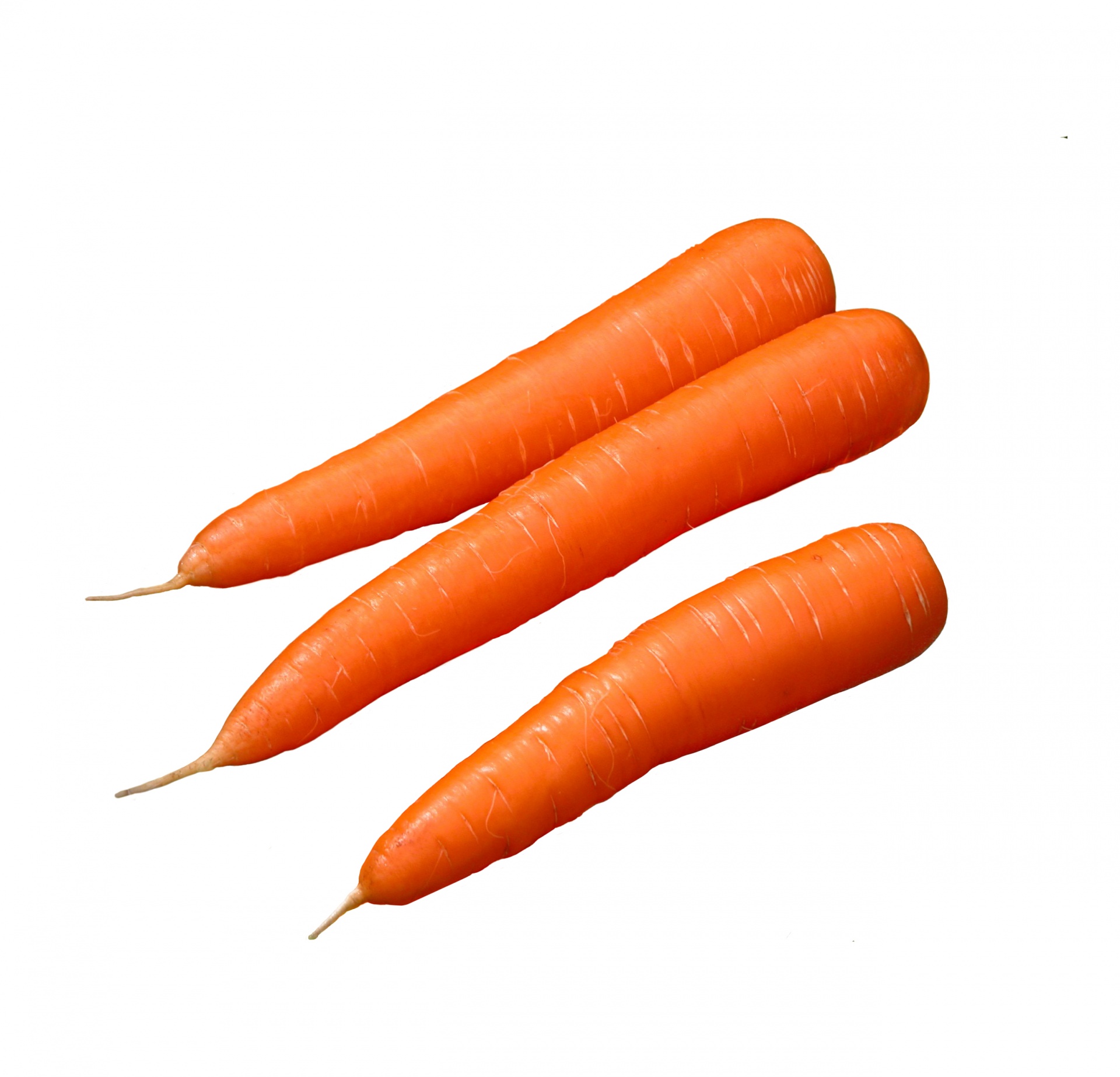 Carrot Free Stock Photo - Public Domain Pictures