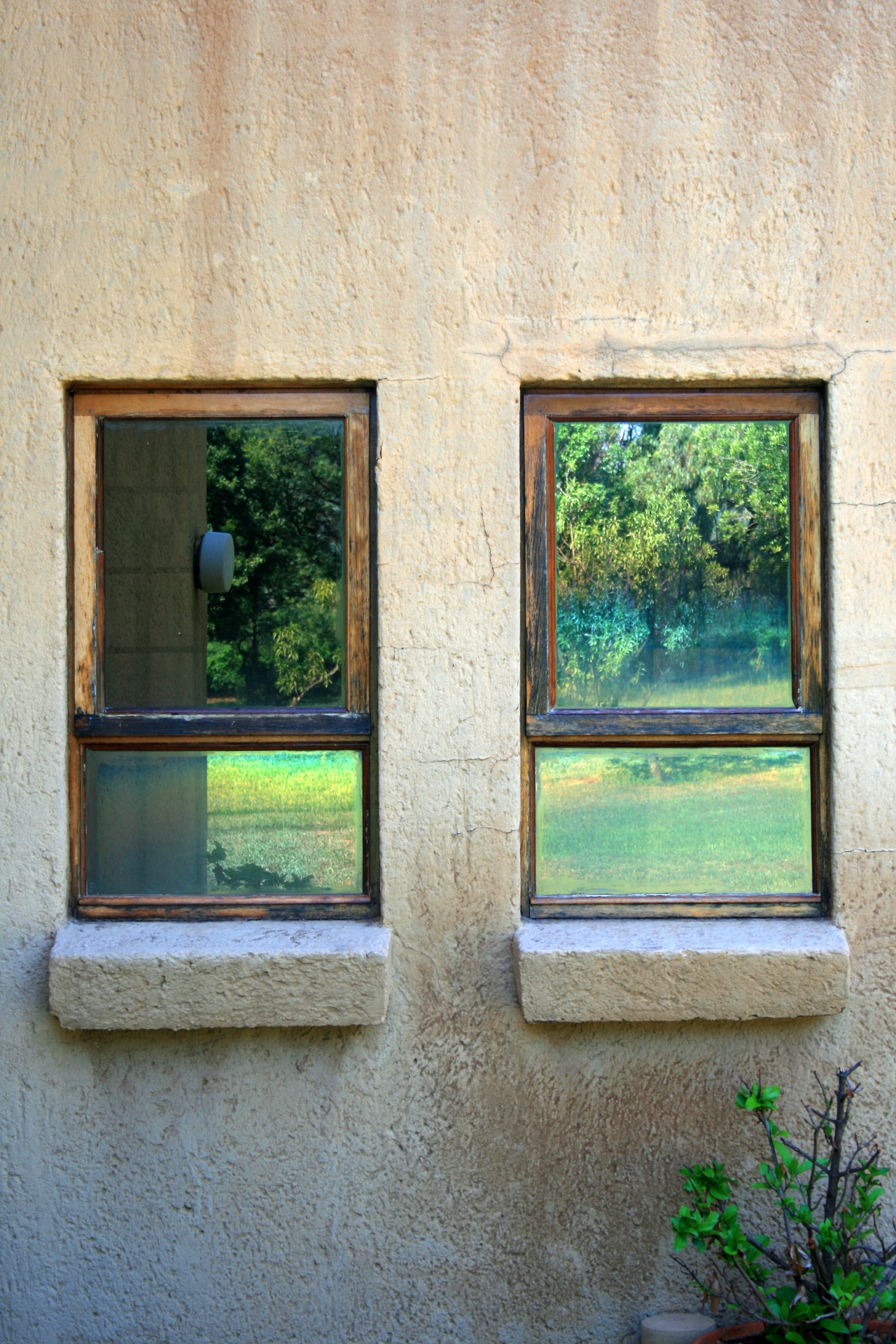 Cottage Windows
