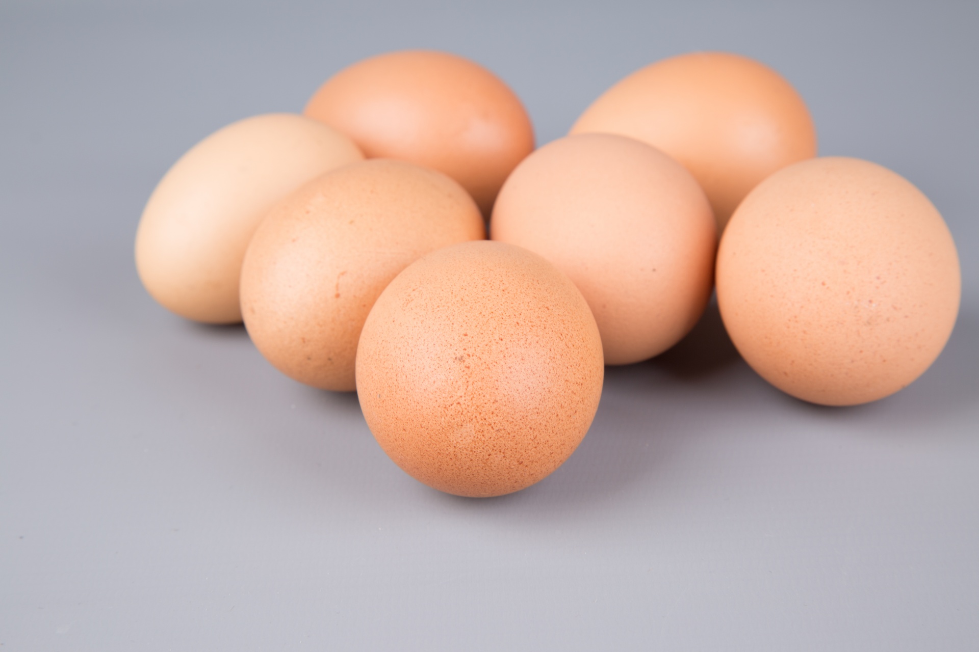 Egg Free Stock Photo - Public Domain Pictures