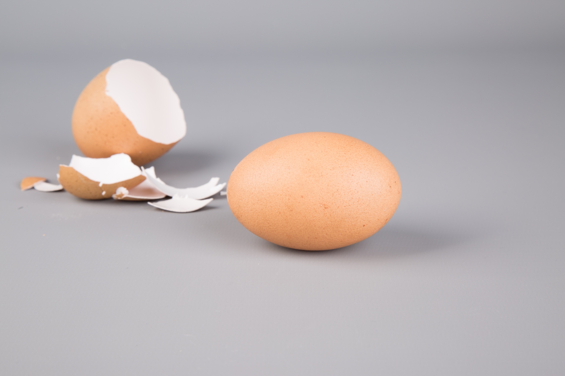 Egg Free Stock Photo - Public Domain Pictures