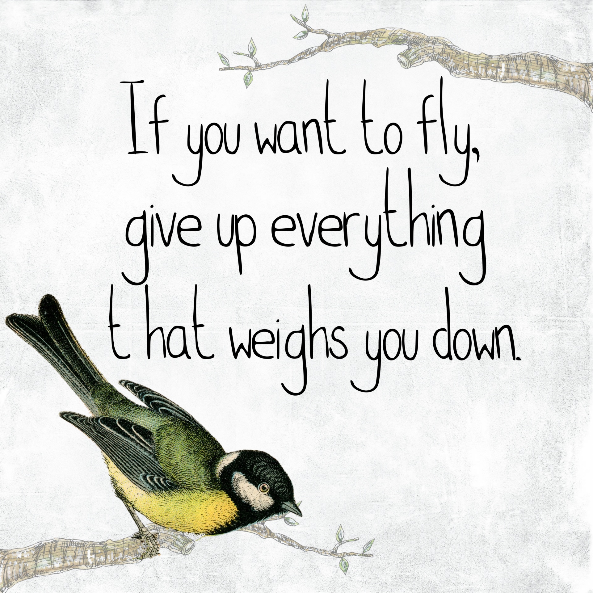 Inspirational Bird Quote Freedom Free Stock Photo - Public 