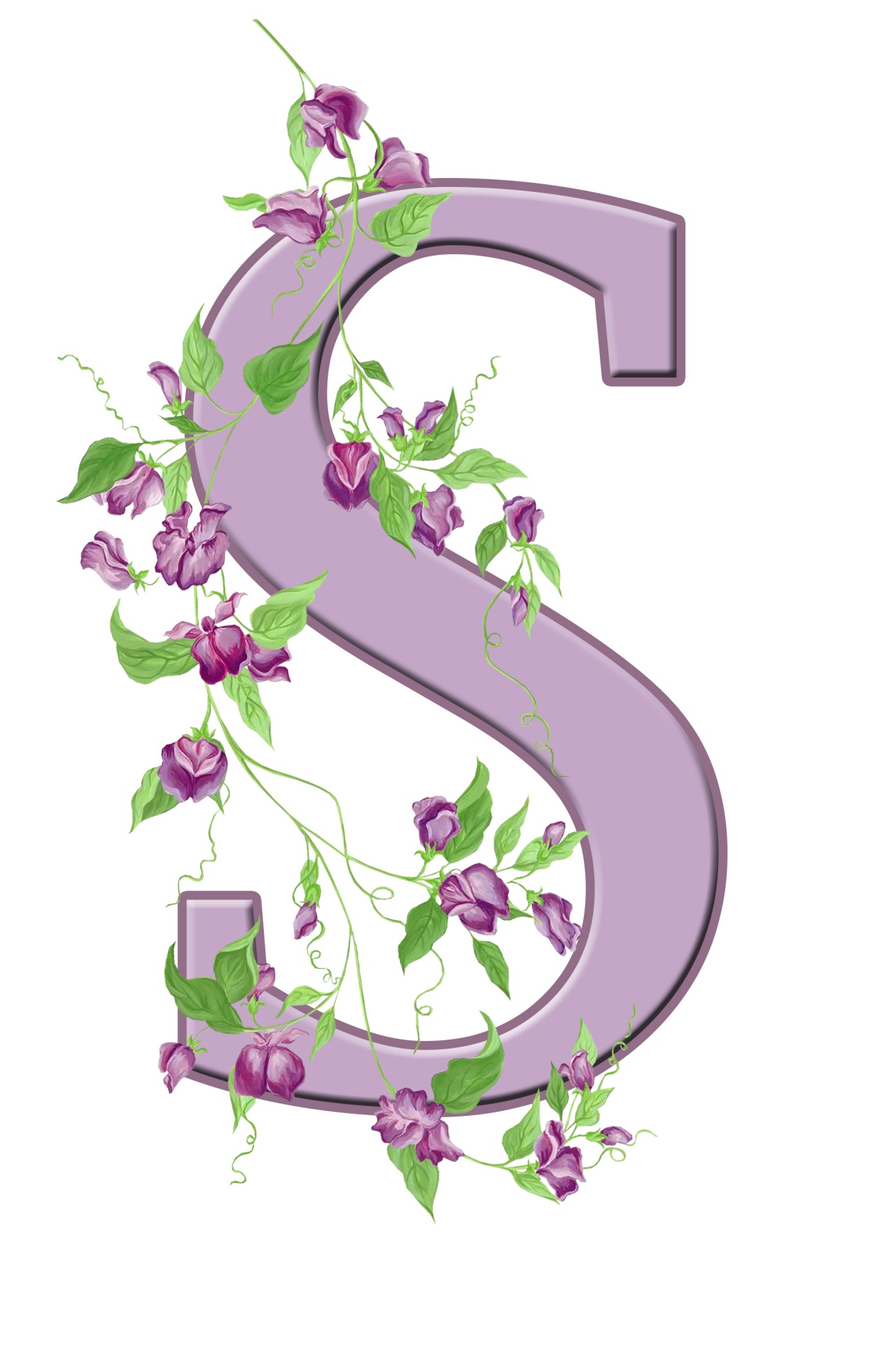 Letter S Floral Initial Free Stock Photo Public Domain Pictures