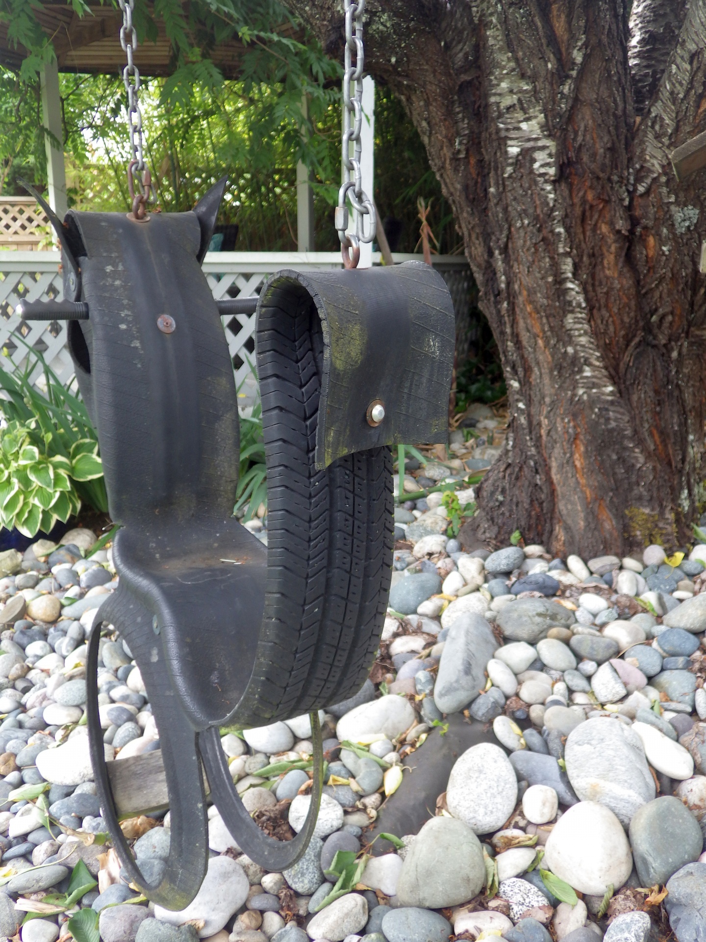 Tire Swing 2 Free Stock Photo Public Domain Pictures