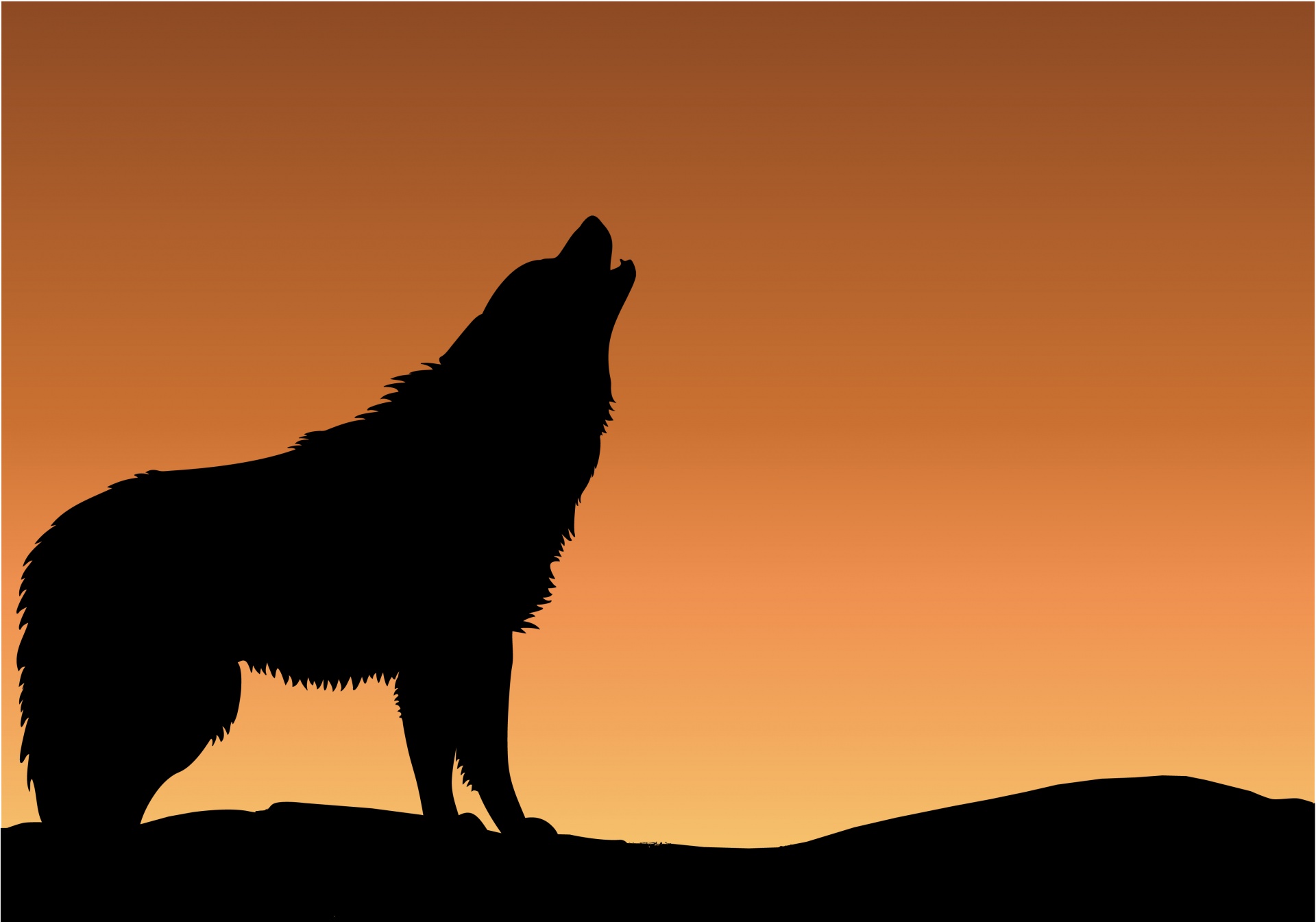 Wolf Howling Sunset Silhouette Free Stock Photo - Public Domain Pictures