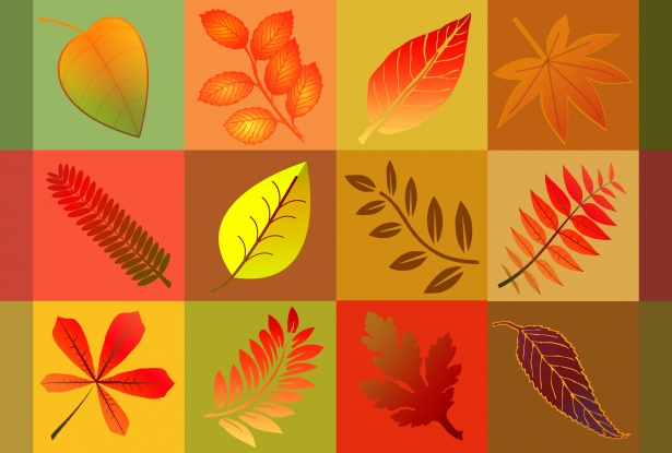 Image result for falling leaves clip art