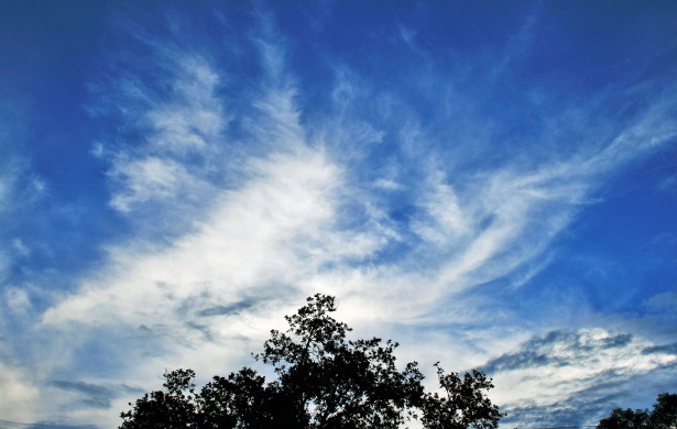 Sweep Of Cloud In Blue Sky Free Stock Photo - Public Domain Pictures