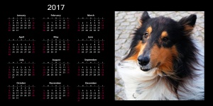 2017 Calendar With Dog