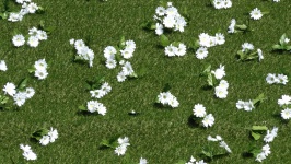 Artificial Flowers On Grass