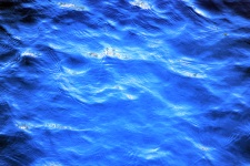 Niebieskim tle wody