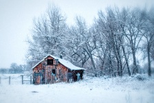 Boxelder Cabin Zima Śniegu