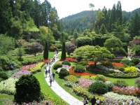 British Columbia Butchart Gardens