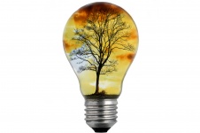 Lampa ljus med träd
