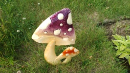 花园蘑菇
