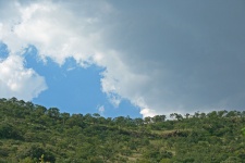 Cloud Over Tree Covered Hill