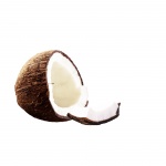 Kokosnuss getrennt