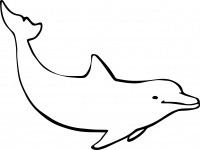 Dolphin Teckning