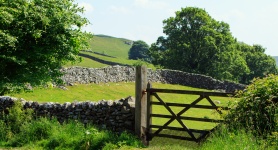 Ворота в сельской местности
