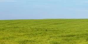Gras en lucht achtergrond