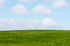Зеленая трава голубое небо