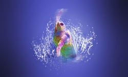 Hono Freestyle Splash