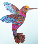 Kolibřík Ilustrace