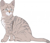 Gattino Disegno di colore