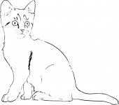 Kitten Lineart Drawing