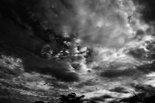 Cerul low-cheie alb-negru și nor