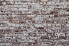 Old Brick Wall fond