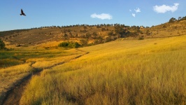 Pineridge Natural Area Pozdní léto