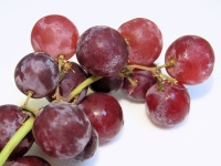 Czerwone winogrona 2