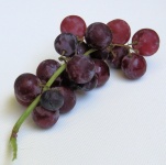 Red Grapes Isolated