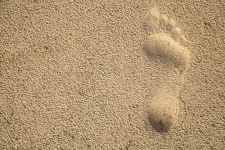 Single stopa v písku
