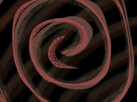 Spirale 1
