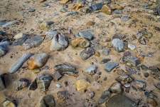 Stones in the beach