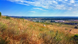 Summer Morning In Fort Collins