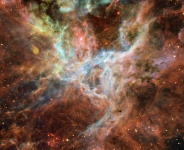 Nebulosa tarantola
