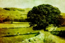 Paesaggio di campagna d'epoca