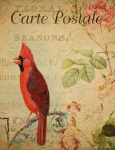 Vintage Postkarte Kardinals-Vogel