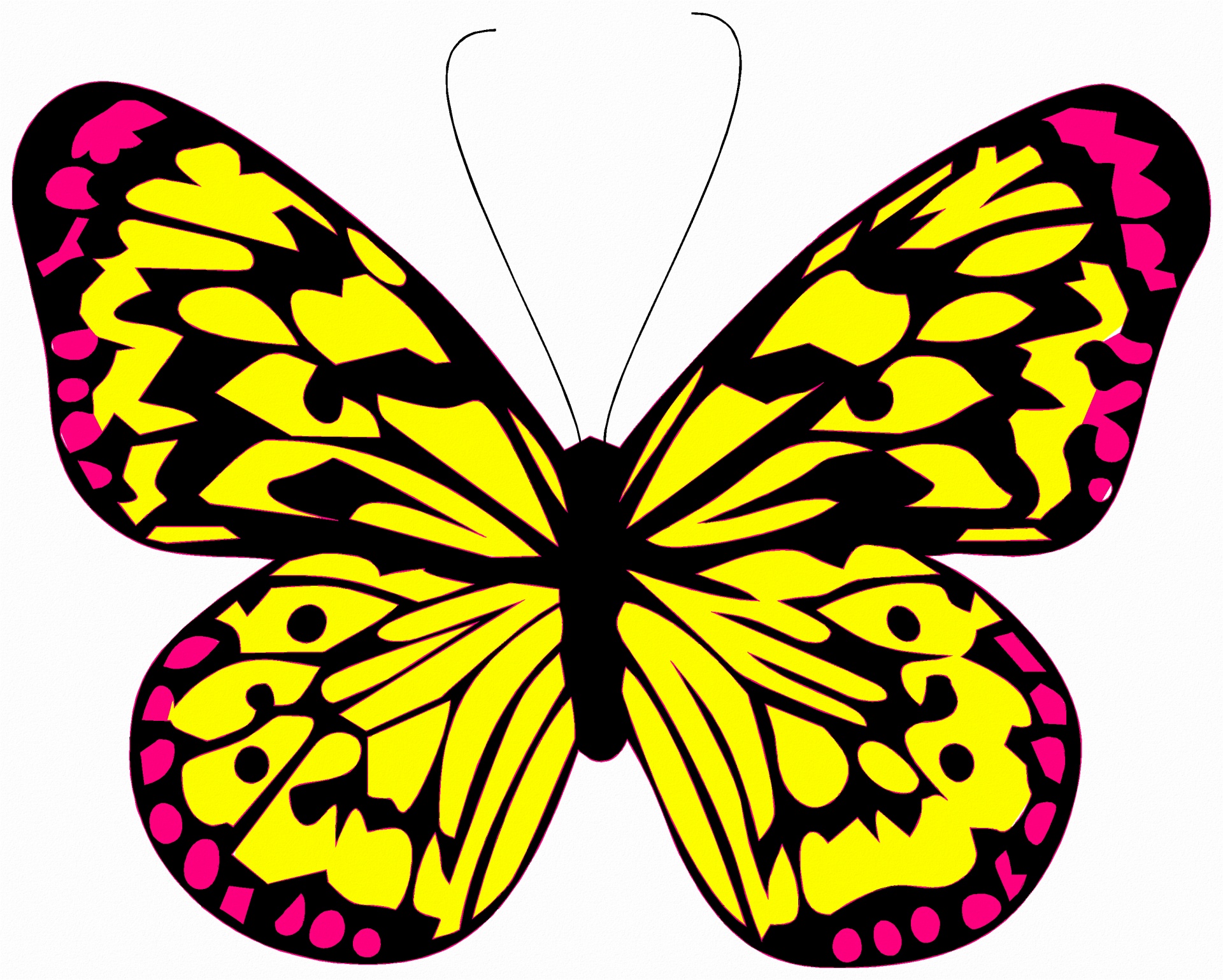 a-colorful-butterfly-free-stock-photo-public-domain-pictures