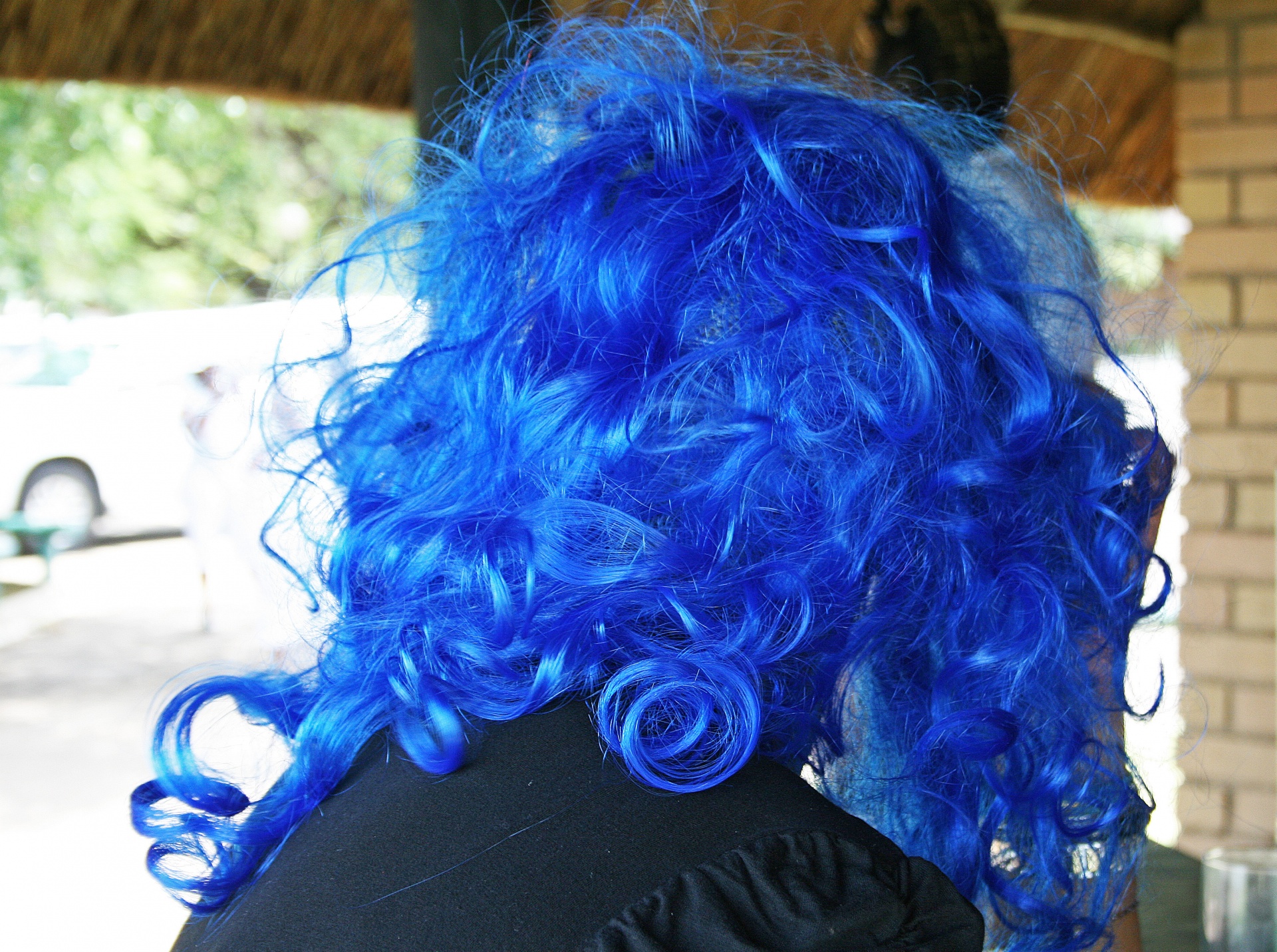 Blue Allure Exotic Hair Wigs - wide 10