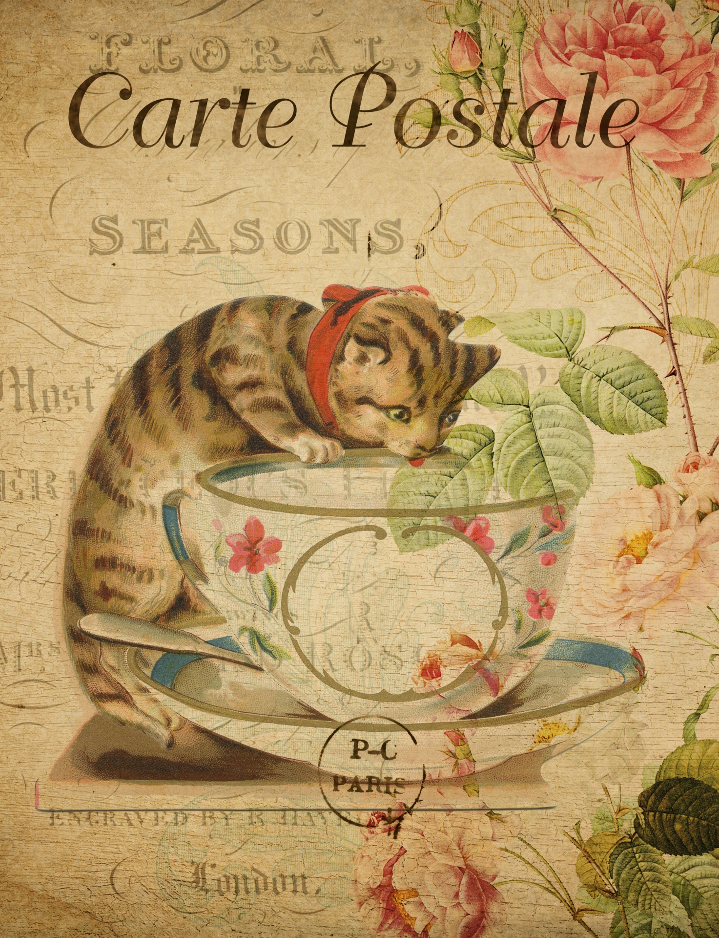 Cat vintage fransk vykort