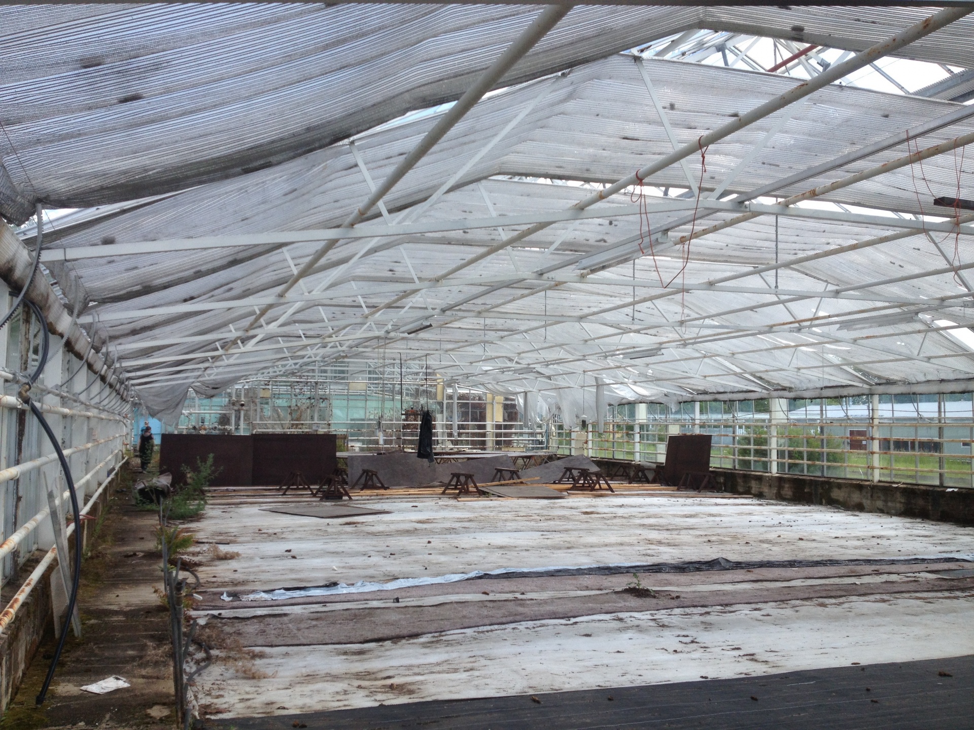 Deserted Greenhouse