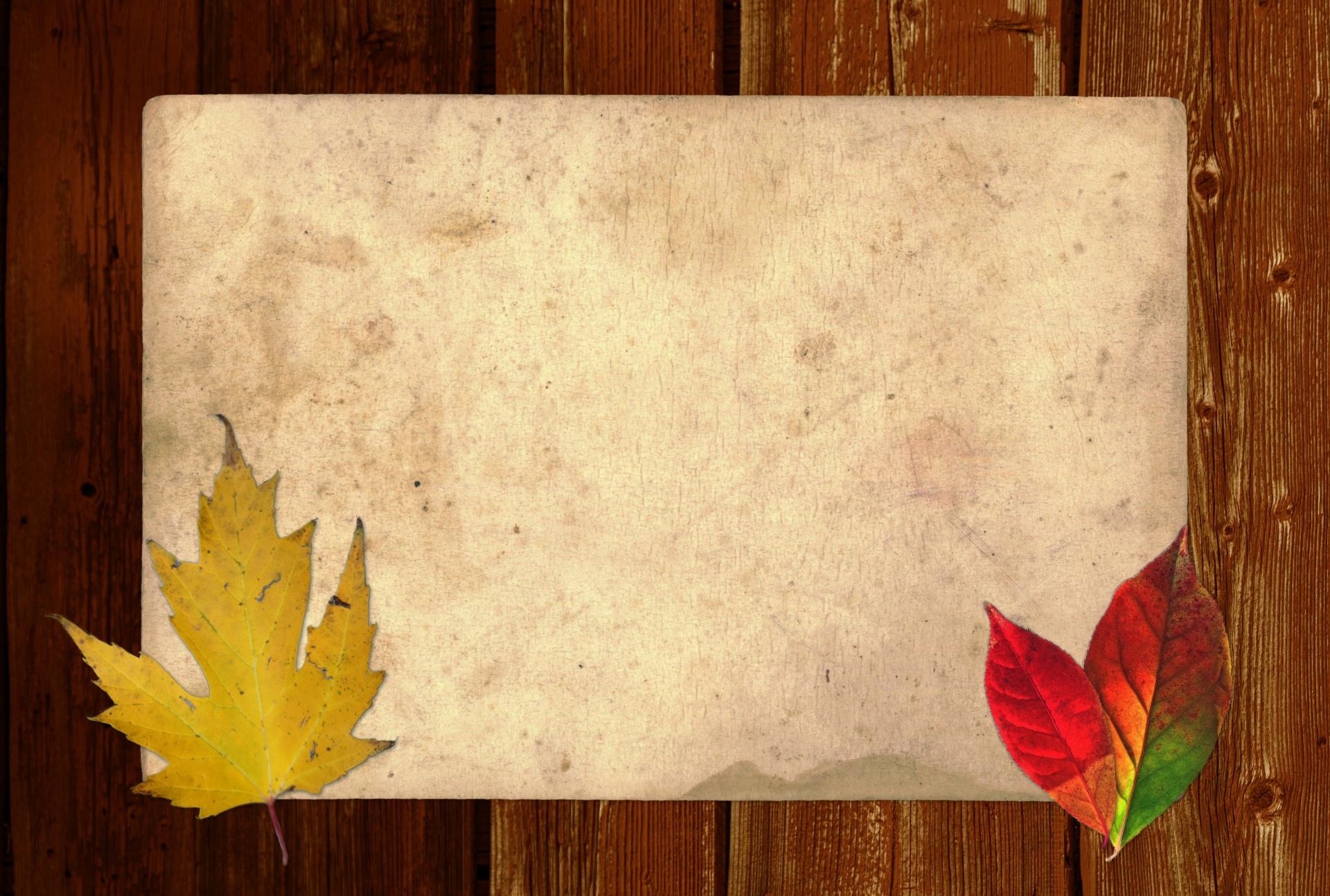 fall-notice-2-free-stock-photo-public-domain-pictures
