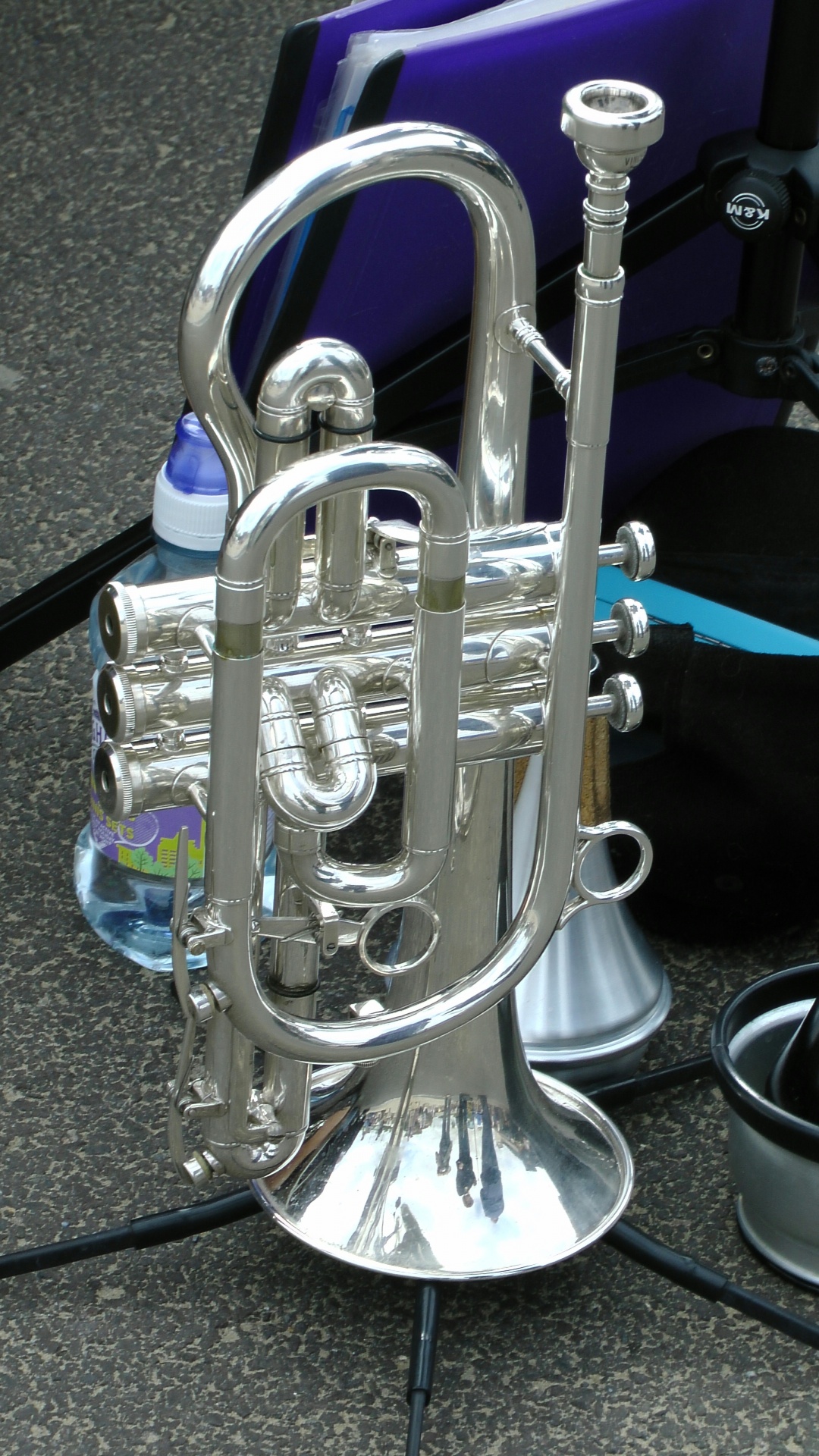 Gleaming Trumpet Free Stock Photo - Public Domain Pictures