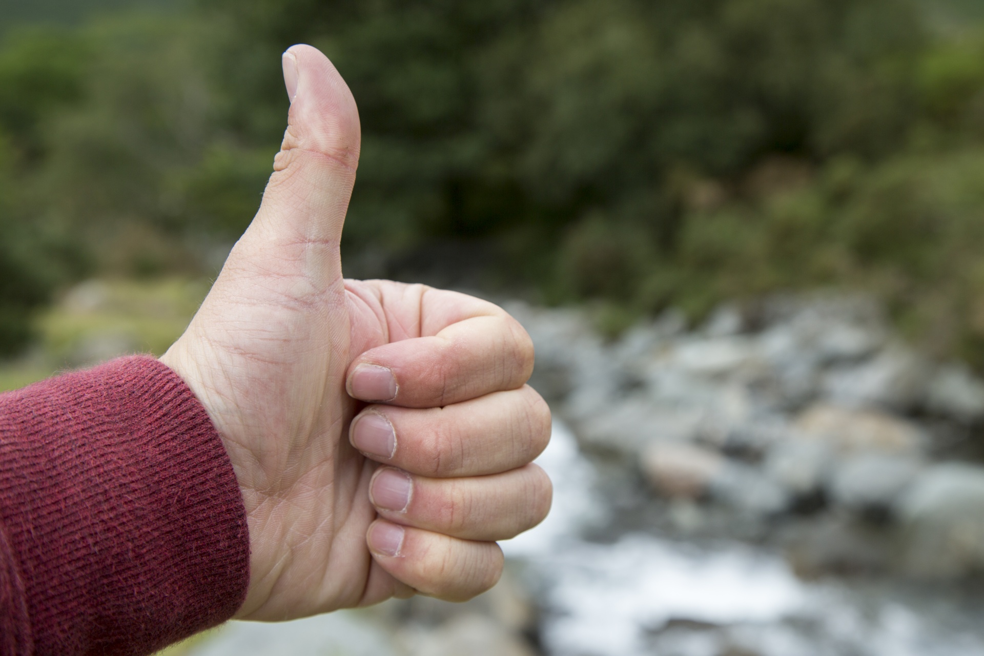 hand-showing-a-thumb-up-sign-free-stock-photo-public-domain-pictures