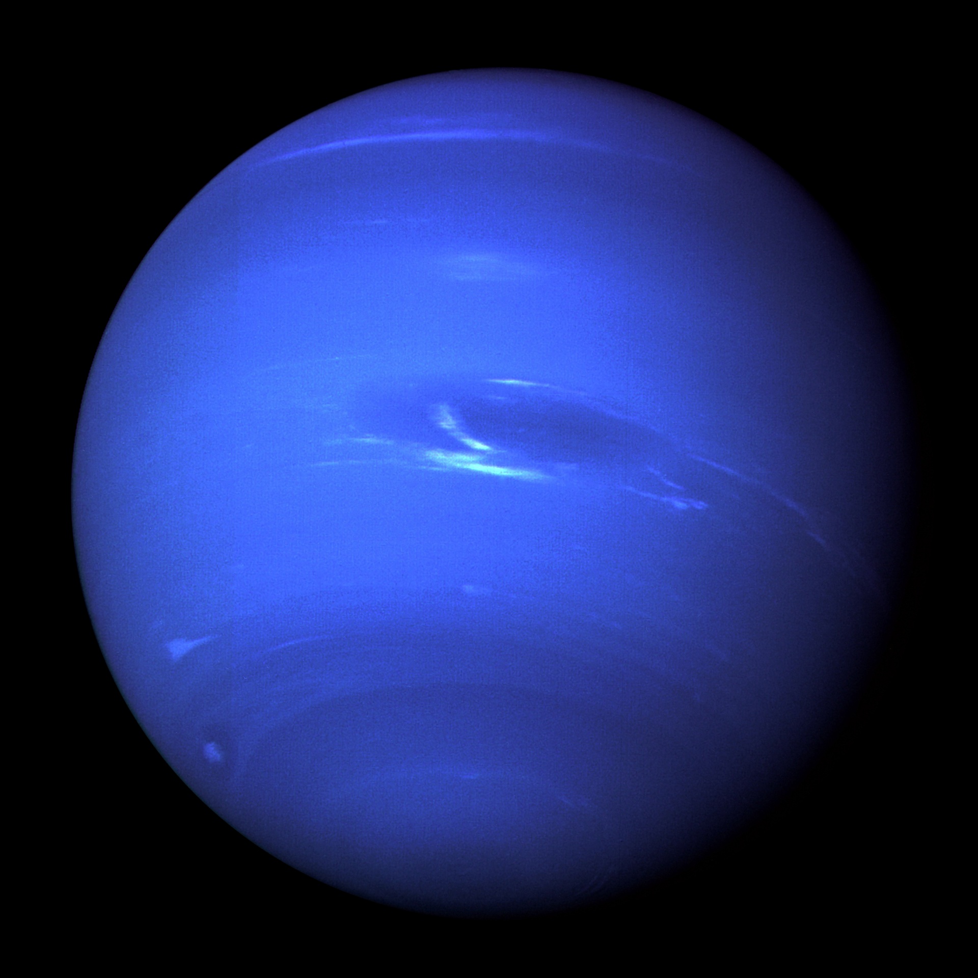Albertsons Neptune Rebate