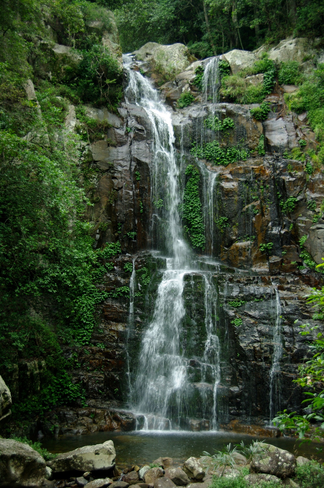 rainforest-waterfall-free-stock-photo-public-domain-pictures