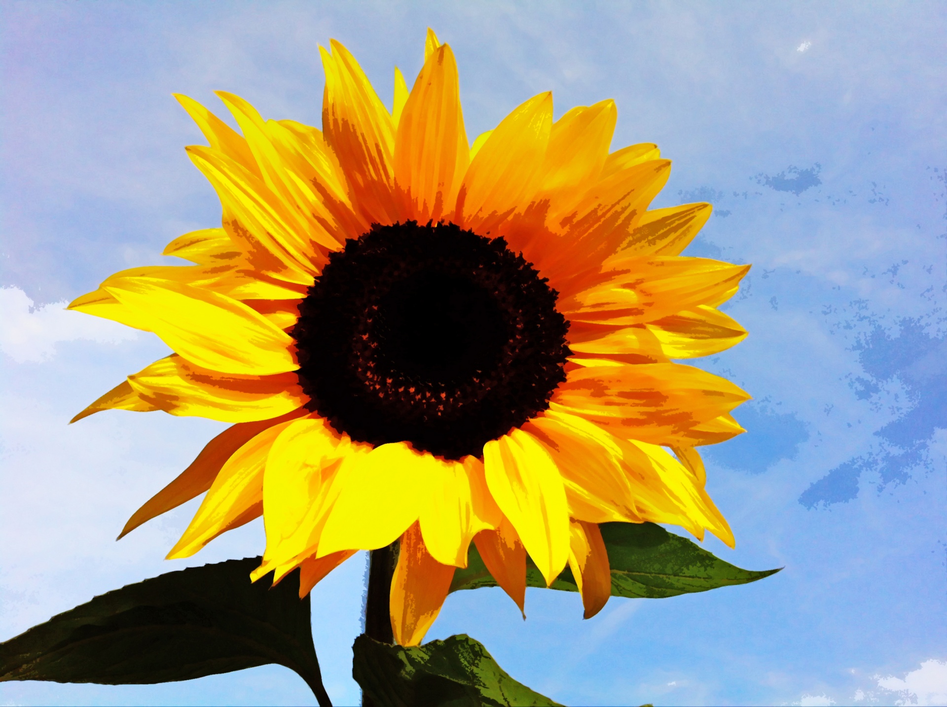 Sunflower Painting Free Stock Photo - Public Domain Pictures