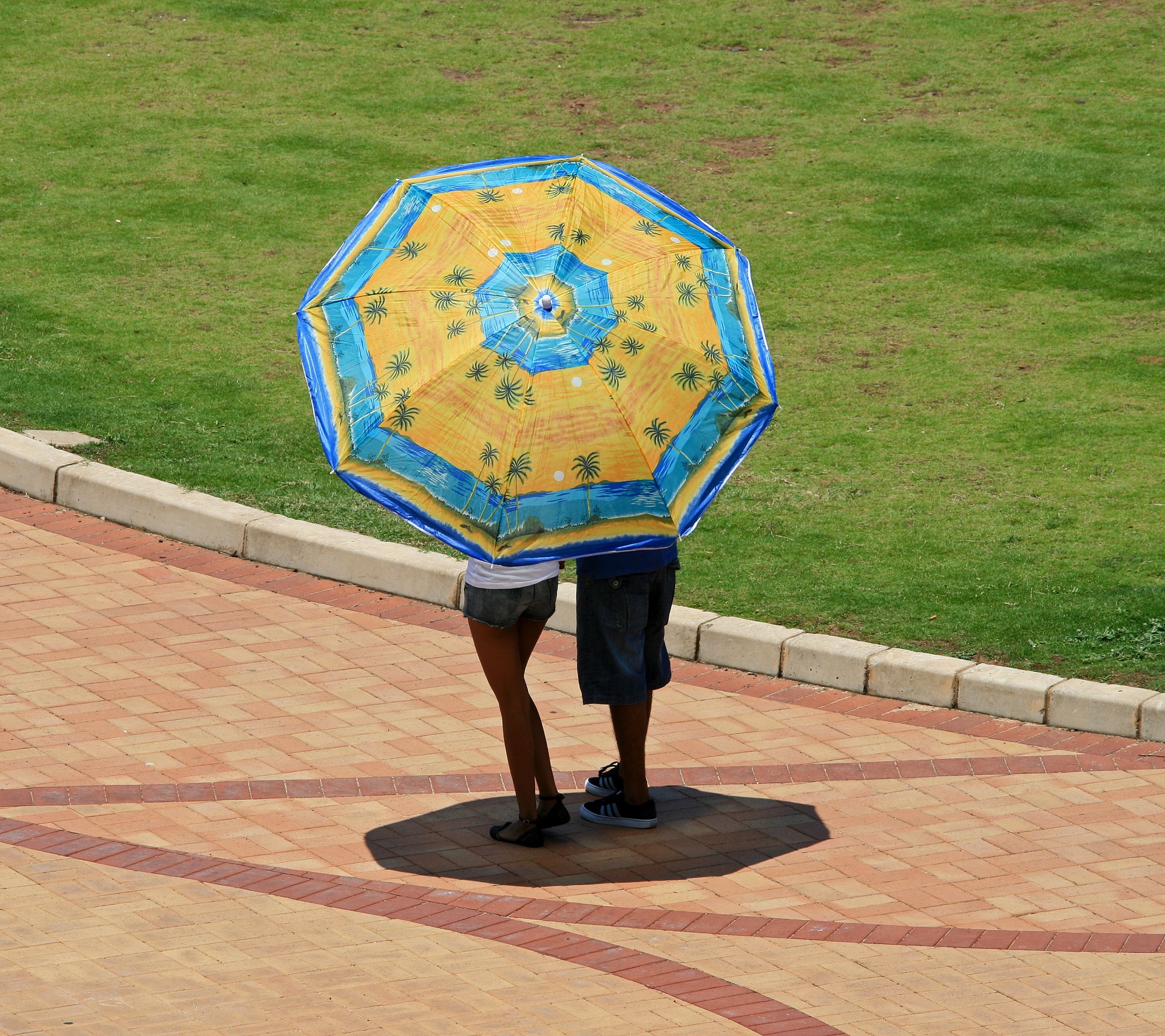 Under A Yellow &amp; Blue Parasol Free Stock Photo - Public Domain Pictures